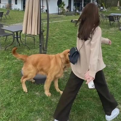 超能怪杰